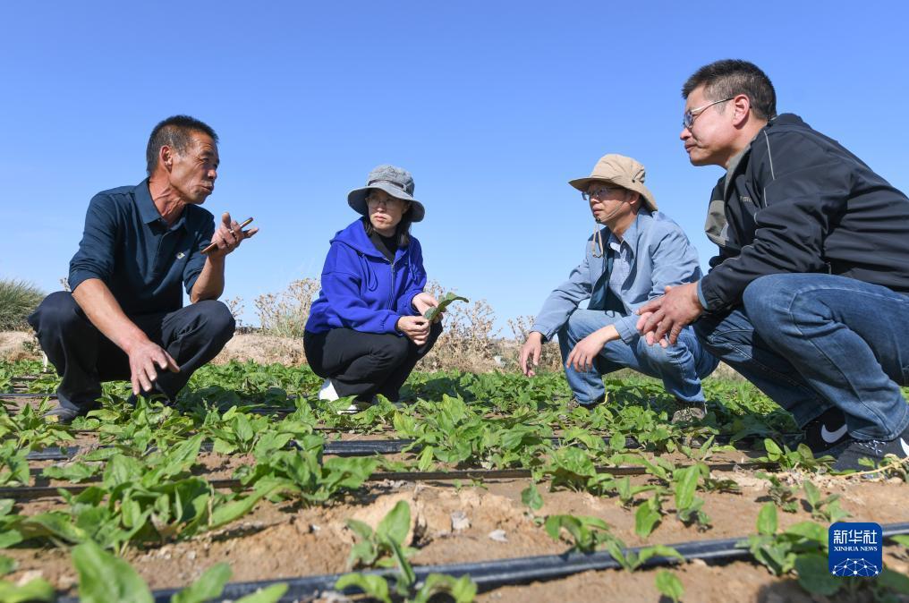 夺宝中华游戏入口